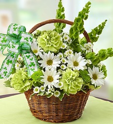 St. Patrick's Basket from Victor Mathis Florist in Louisville, KY