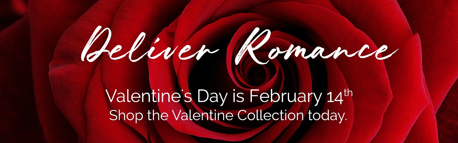 Order Valentine's Day Flowers in Louisville, KY from Victor Mathis Florist