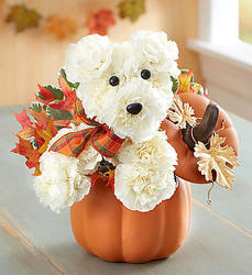 a-DOG-able® for Fall from Victor Mathis Florist in Louisville, KY