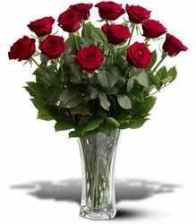 Roses for 
Local Delivery in Louisville, KY